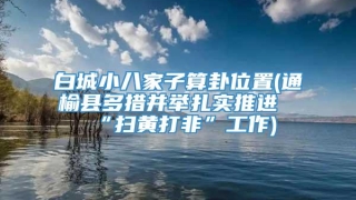 白城小八家子算卦位置(通榆县多措并举扎实推进“扫黄打非”工作)