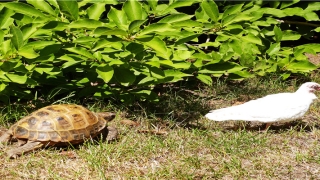 男人旺妻体相(什么样的男人旺妻)