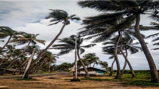 白云观怎么找道士算命(你知道中国第一图太极图的意义吗)