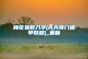 梅花易数八字(先天奇门遁甲教程)_重复