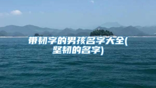 带韧字的男孩名字大全(坚韧的名字)