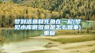 梦到活鱼和死鱼在一起(梦见水库很多鱼是怎么回事)_重复