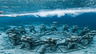 尺子怎么组词一年级(尺子字组词)