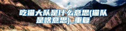 吃猫大队是什么意思(猫队是啥意思)_重复