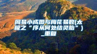 周易小成图与梅花易数(太极之“序从何处结灵胎”)_重复