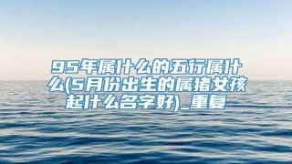 95年属什么的五行属什么(5月份出生的属猪女孩起什么名字好)_重复