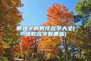 带煌字的男孩名字大全(煌取名字有哪些)