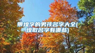 带煌字的男孩名字大全(煌取名字有哪些)