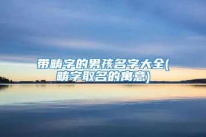 带畴字的男孩名字大全(畴字取名的寓意)