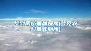 梦到厕所里都是屎(梦见农村老式厕所)