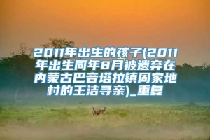 2011年出生的孩子(2011年出生同年8月被遗弃在内蒙古巴音塔拉镇周家地村的王洁寻亲)_重复