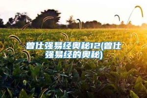 曾仕强易经奥秘12(曾仕强易经的奥秘)