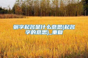 弼字起名是什么意思(起名字的意思)_重复