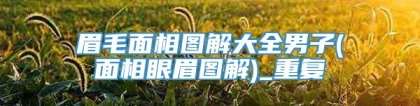 眉毛面相图解大全男子(面相眼眉图解)_重复