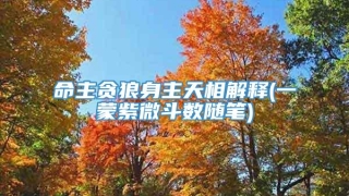 命主贪狼身主天相解释(一蒙紫微斗数随笔)