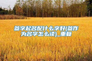 参字起名配什么字好(参作为名字怎么读)_重复