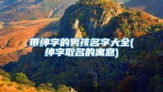 带绅字的男孩名字大全(绅字取名的寓意)