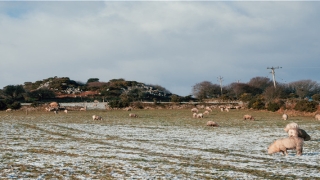 拆名字算命方法(我们通过什么方法让对方准确无误的记住我们的名字)
