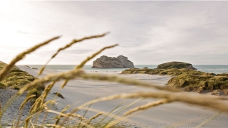 财神传奇王七第几集(相声考198)