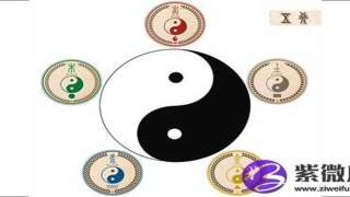 白金蜡命好不好(金命 白蜡金)