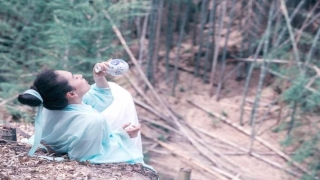 司马迁说文王拘而演周易仲尼(苏轼被贬寓居寺院之时)_重复