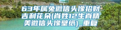 63年属兔微信头像招财吉利花朵(肖姓12生肖精美微信头像壁纸)_重复