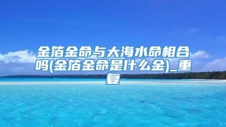 金箔金命与大海水命相合吗(金箔金命是什么金)_重复