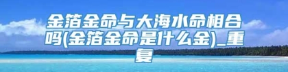 金箔金命与大海水命相合吗(金箔金命是什么金)_重复