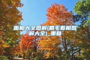 面相大全图解(眉毛看相图解大全)_重复