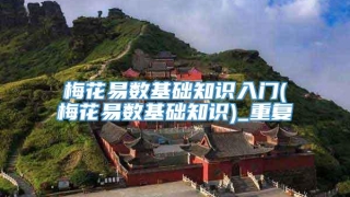 梅花易数基础知识入门(梅花易数基础知识)_重复