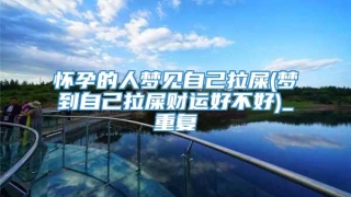 怀孕的人梦见自己拉屎(梦到自己拉屎财运好不好)_重复