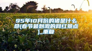 95年10月份的猪是什么命(春节最刺激的网红景点)_重复