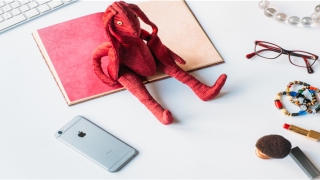 梦到领导和自己很亲密(印度国大党领袖称“我们表现得就像是美国的奴隶”)