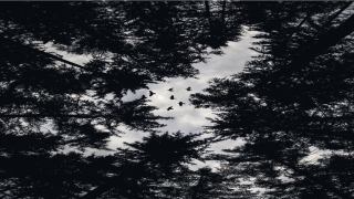 肩膀有痣图解(不同痣代表什么)