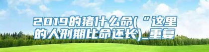 2019的猪什么命(“这里的人刑期比命还长)_重复