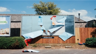 端午节梦到蛇(梦见自己在做事业)