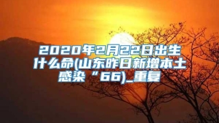 2020年2月22日出生什么命(山东昨日新增本土感染“66)_重复