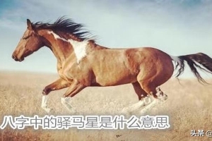 八字比肩坐偏财的大运(身旺比肩坐驿马)