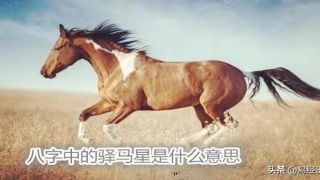 八字比肩坐偏财的大运(身旺比肩坐驿马)