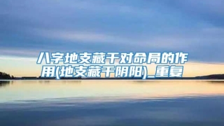 八字地支藏干对命局的作用(地支藏干阴阳)_重复