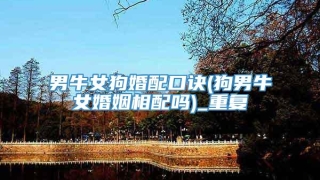 男牛女狗婚配口诀(狗男牛女婚姻相配吗)_重复
