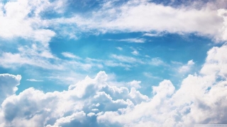 易经里面有哪些寓意好的字(易经的含义)