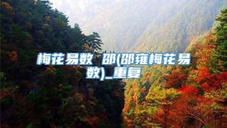 梅花易数 邵(邵雍梅花易数)_重复