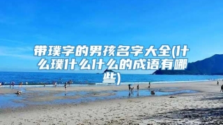 带璞字的男孩名字大全(什么璞什么什么的成语有哪些)