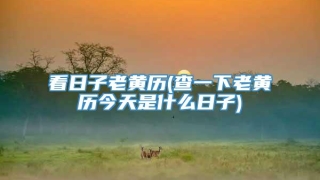 看日子老黄历(查一下老黄历今天是什么日子)