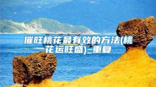 催旺桃花最有效的方法(桃花运旺盛)_重复