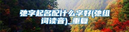 弛字起名配什么字好(弛组词读音)_重复