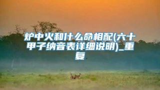 炉中火和什么命相配(六十甲子纳音表详细说明)_重复