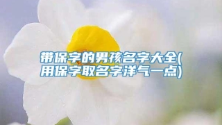 带保字的男孩名字大全(用保字取名字洋气一点)