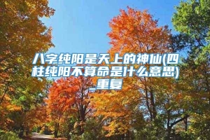 八字纯阳是天上的神仙(四柱纯阳不算命是什么意思)_重复